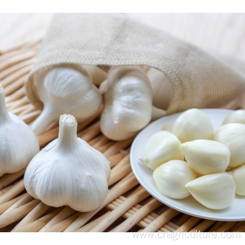 Pure White Garlic Cloves Chinese Garlic